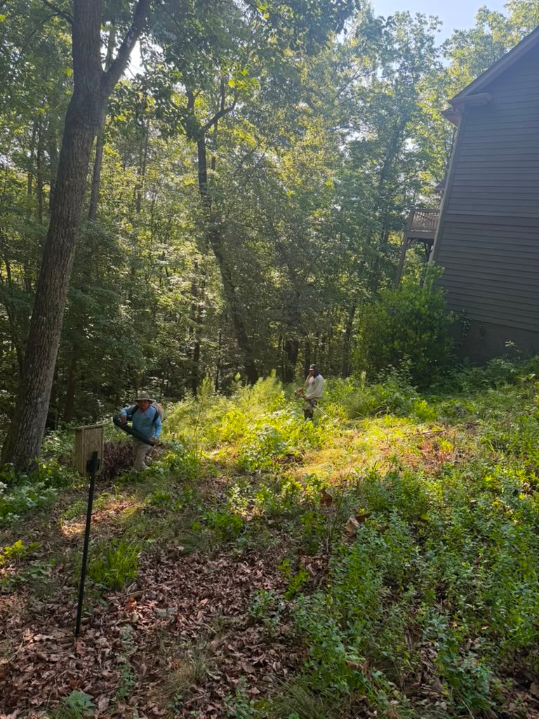 Weed trimming project photograph 6